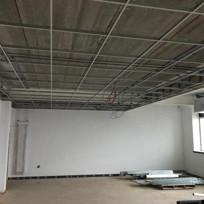 Ceilings Rm