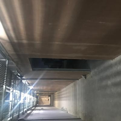 Plastering Gf West Corridor
